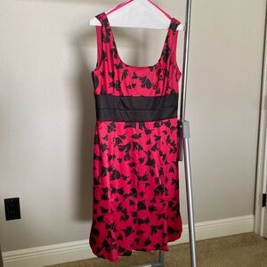 Donna Ricco pink and black dress